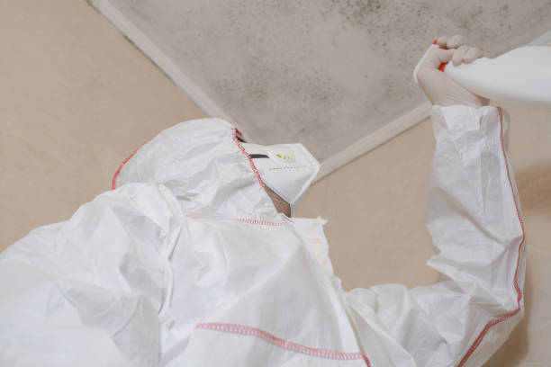 Best Crawl Space Mold Removal  in Bay Pines, FL